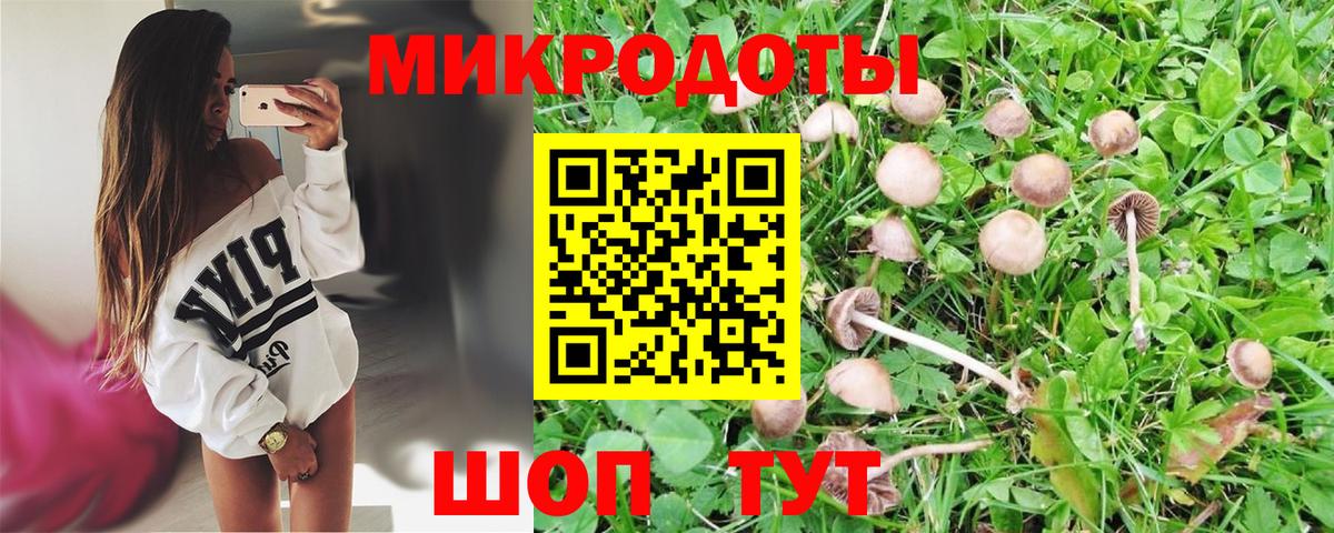 Бийск  Галлюциногенные грибы ЛСД  Галлюциногенные грибы GOLDEN TEACHER  Вход с VPN 
