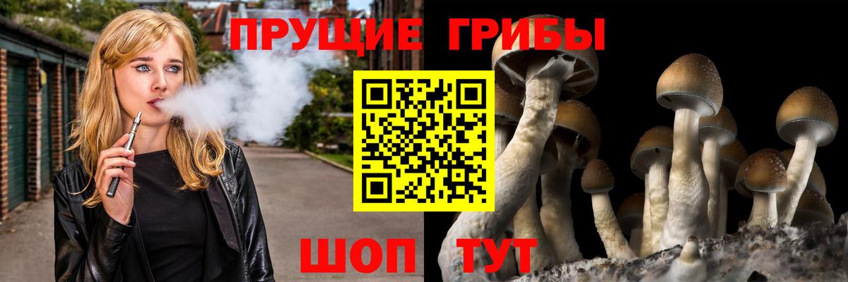 Галлюциногенные грибы прущие грибы Бийск